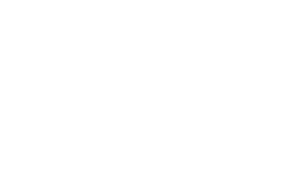 The Charlie Elenore Foundation